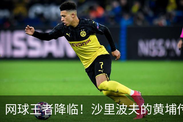 网球王者降临！沙里波夫的黄埔传奇之路